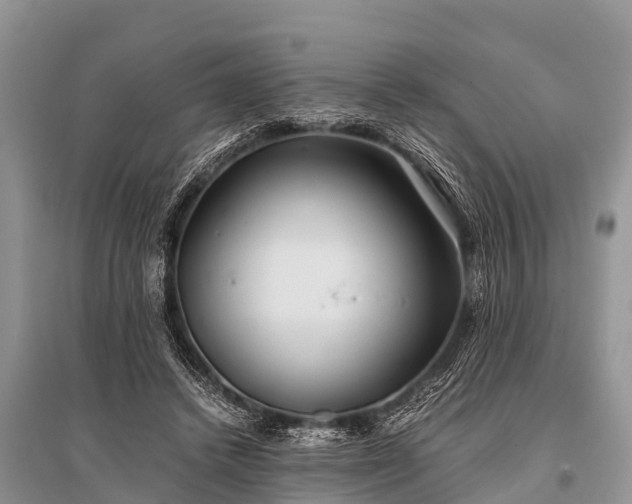 X0000096140448200801251045