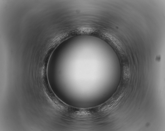 X0000096140451200801251045
