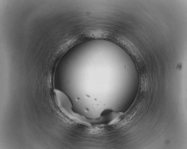 X0000096140453200801251045