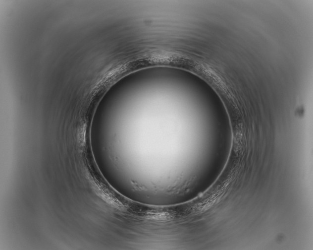 X0000096140454200801251045