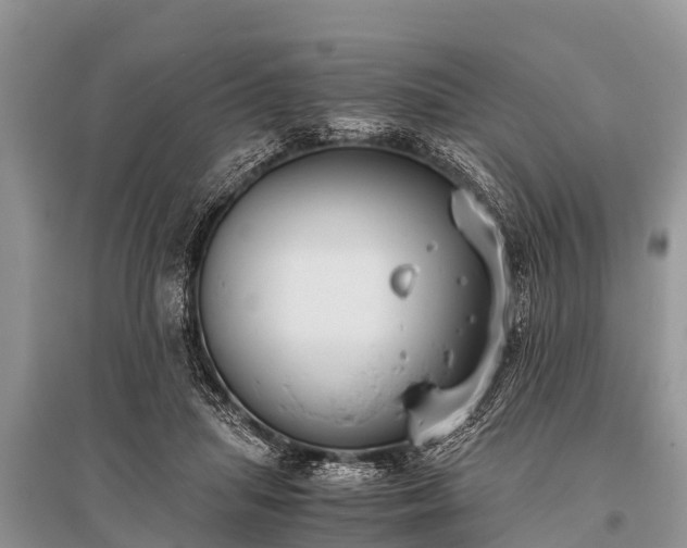 X0000096140455200801251045