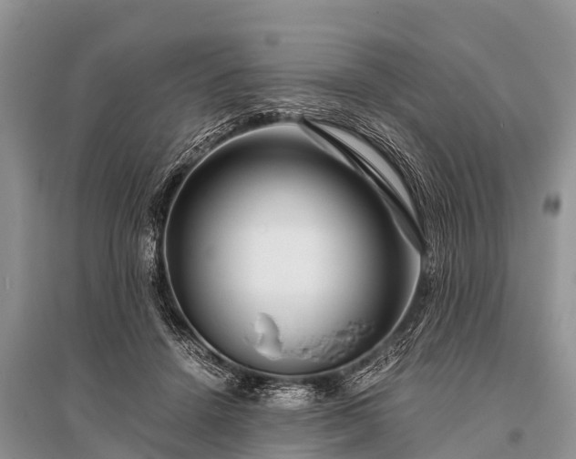 X0000096140456200801251045