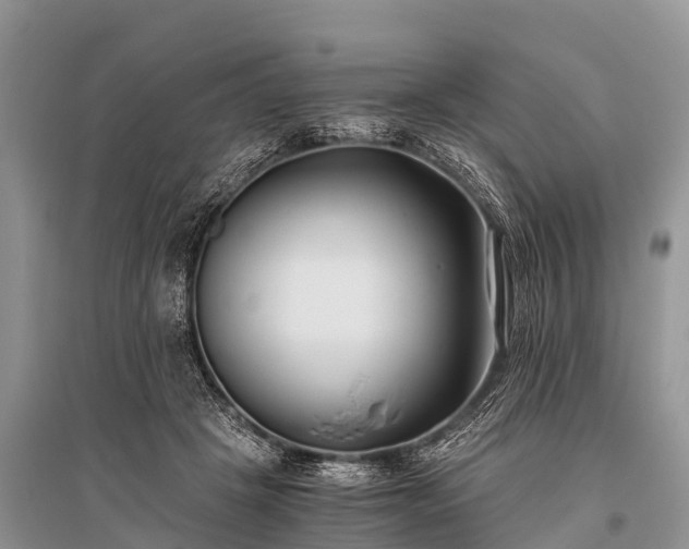 X0000096140457200801251045