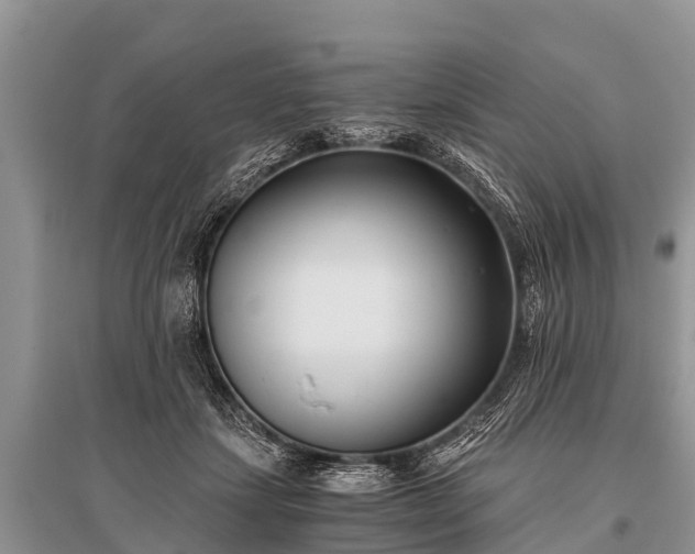 X0000096140459200801251045