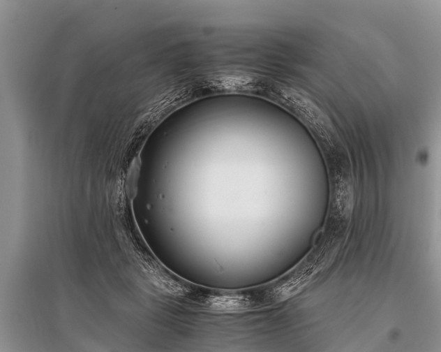 X0000096140461200801251045