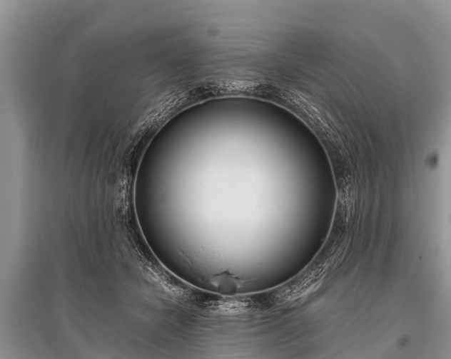 X0000096140462200801251045