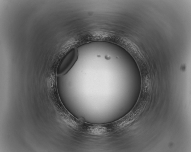 X0000096140463200801251045