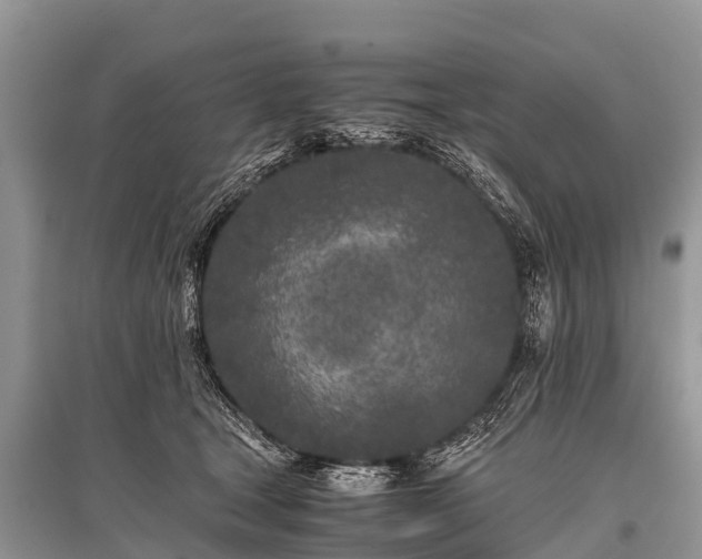 X0000096140465200801251045