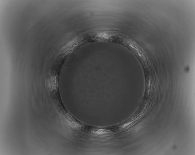 X0000096140467200801251045