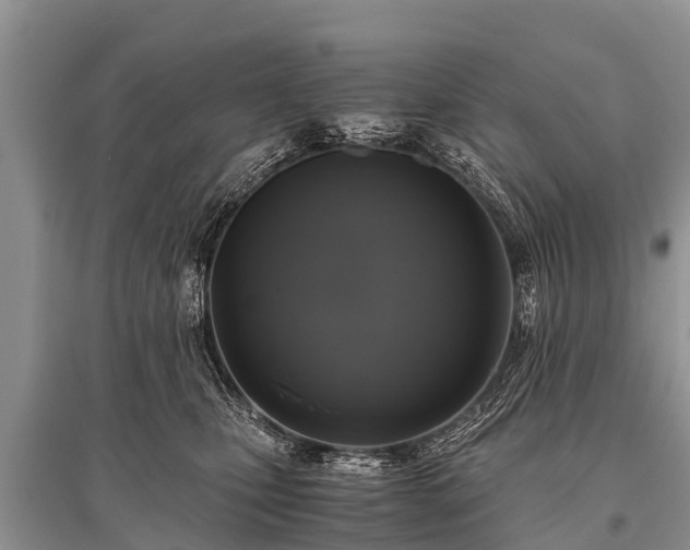 X0000096140471200801251046