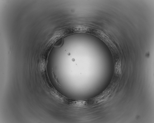 X0000096140474200801251046