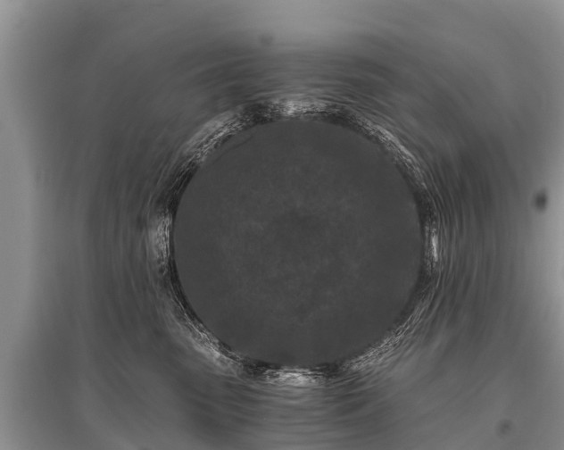 X0000096140475200801251046