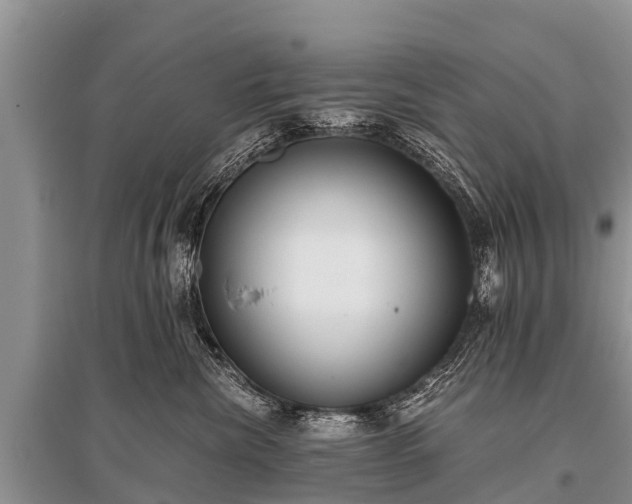 X0000096140476200801251046
