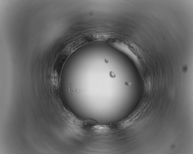 X0000096140477200801251046