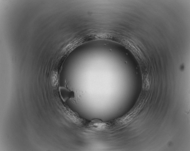 X0000096140478200801251046