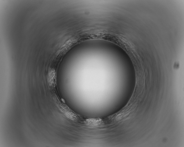 X0000096140480200801251046