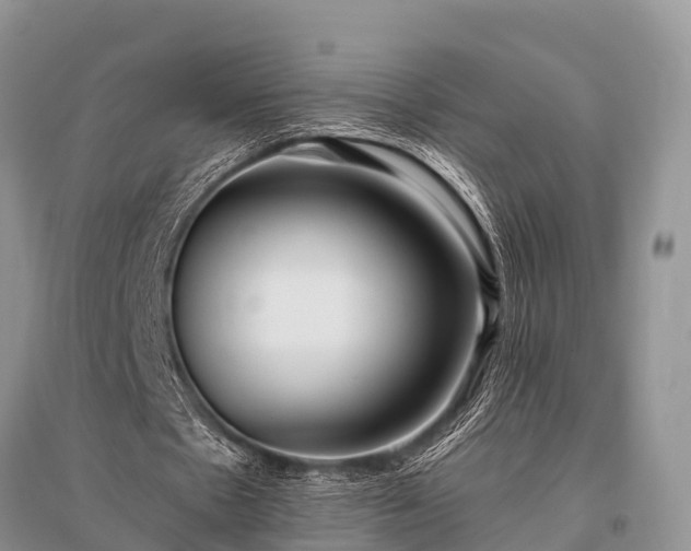 X0000096140481200801251045