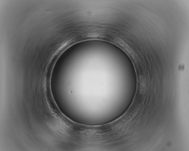 X0000096140482200801251045