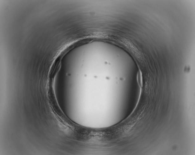 X0000096140484200801251045