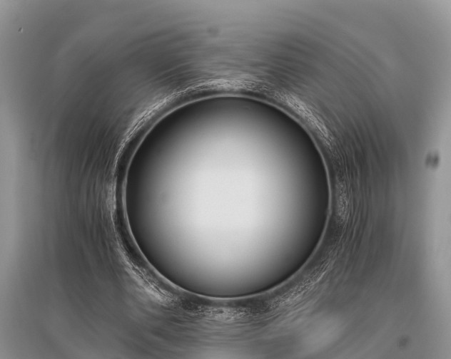 X0000096140486200801251045