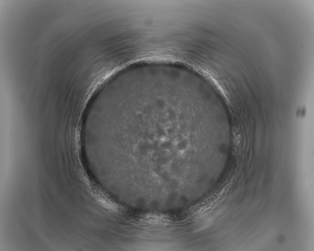 X0000096140487200801251045