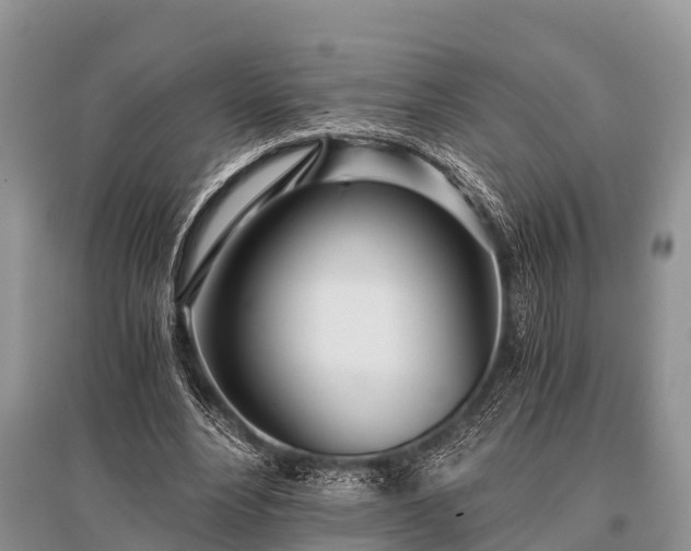 X0000096140488200801251045