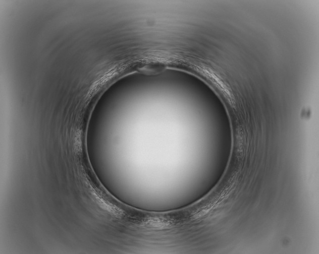 X0000096140489200801251045