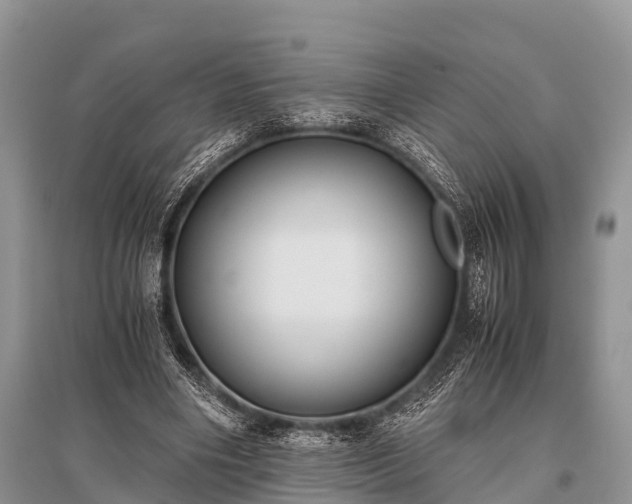 X0000096140490200801251045