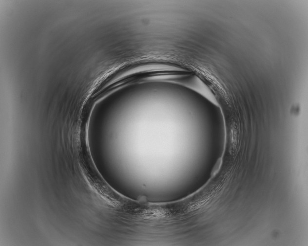 X0000096140492200801251045