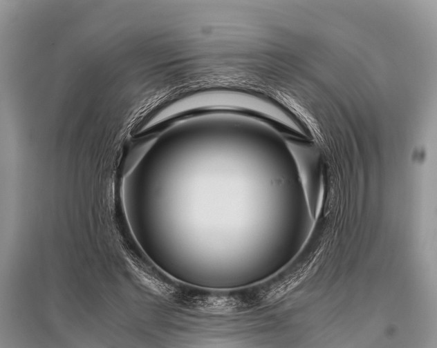 X0000096140493200801251045