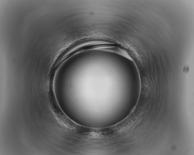 X0000096140496200801251045