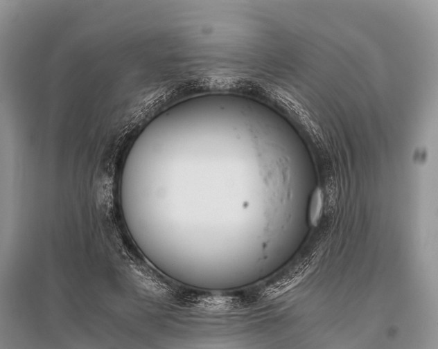 X0000096140497200801251045