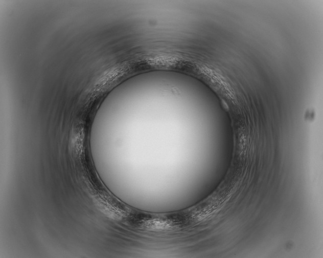 X0000096140498200801251045
