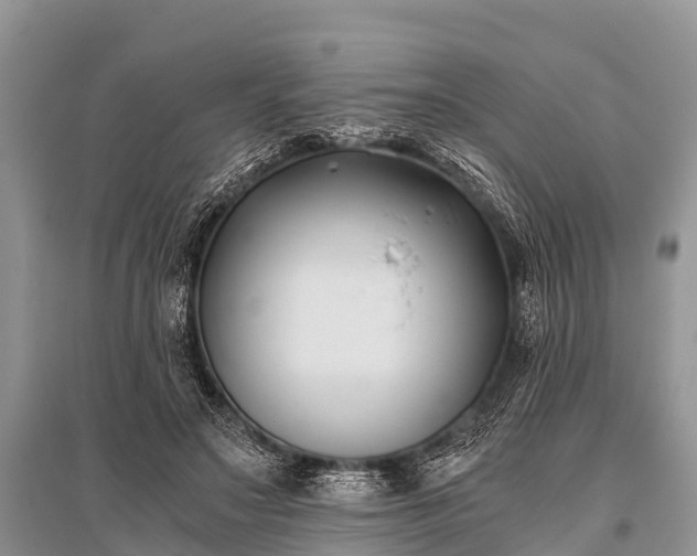 X0000096140499200801251045