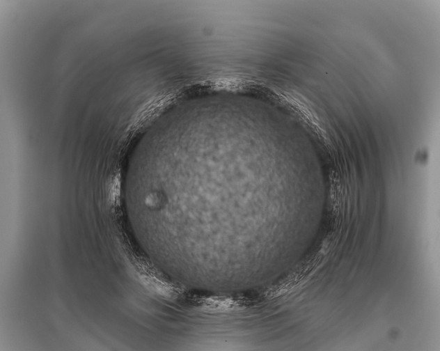 X0000096140502200801251045