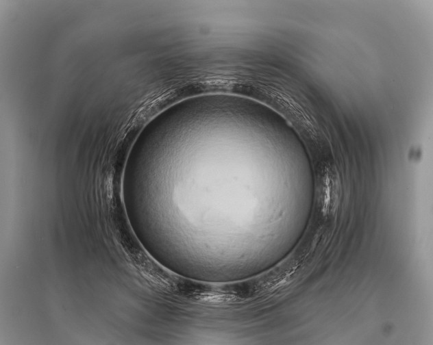 X0000096140504200801251045