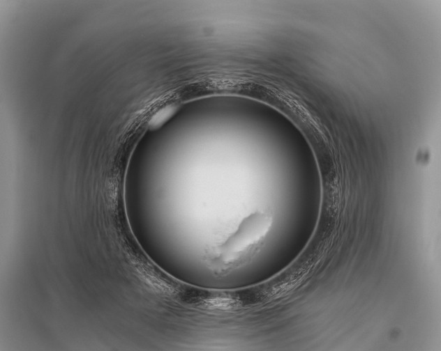 X0000096140505200801251045