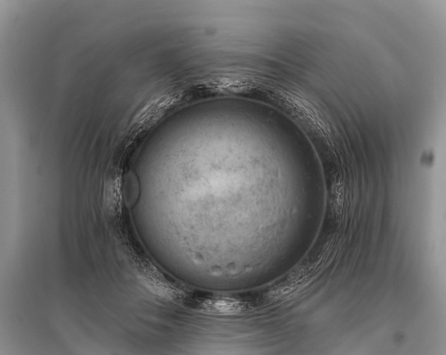 X0000096140506200801251045