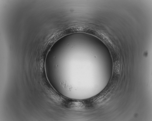 X0000096140509200801251045