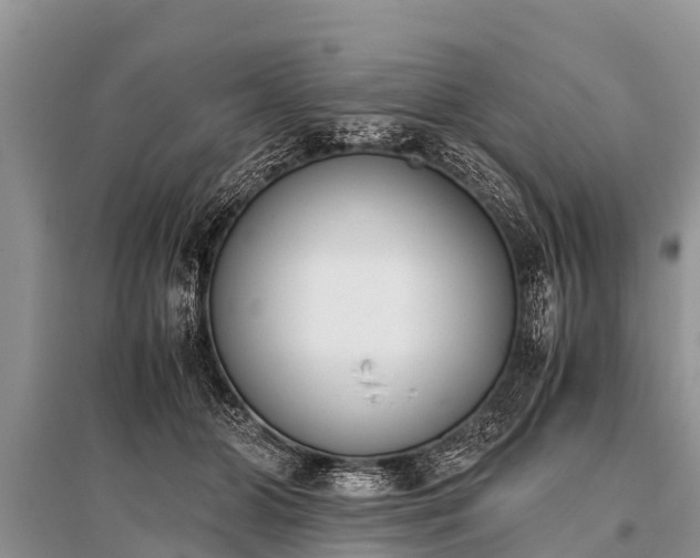 X0000096140510200801251045