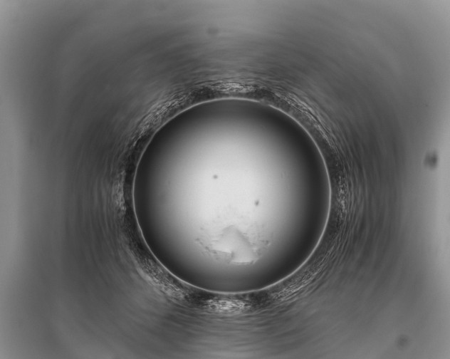X0000096140512200801251045