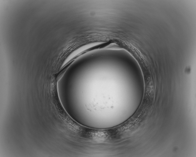 X0000096140513200801251045