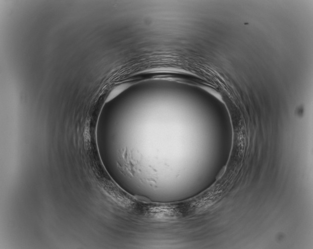 X0000096140516200801251044