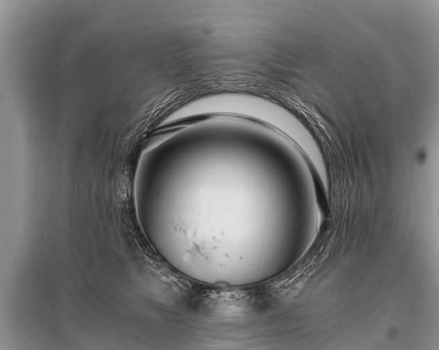 X0000096140517200801251044