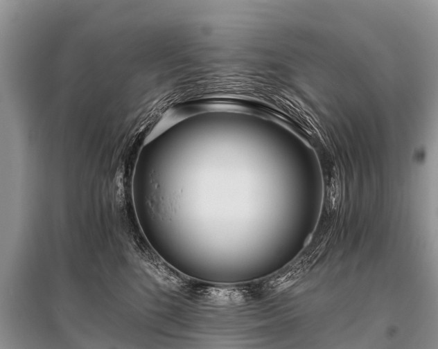 X0000096140520200801251044