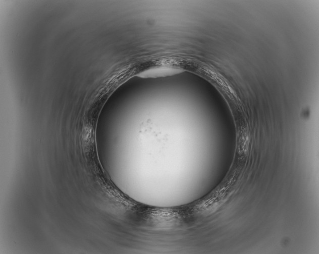 X0000096140521200801251044