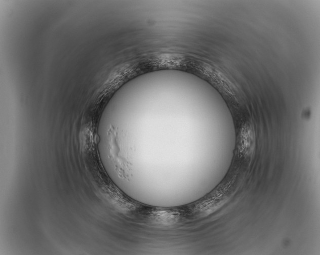 X0000096140522200801251044