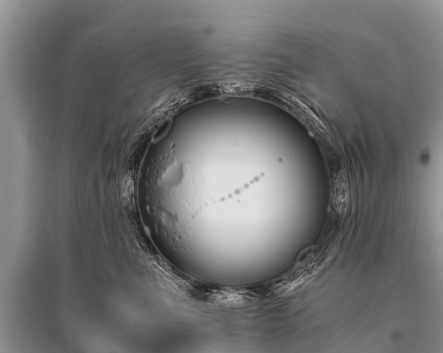 X0000096140523200801251044