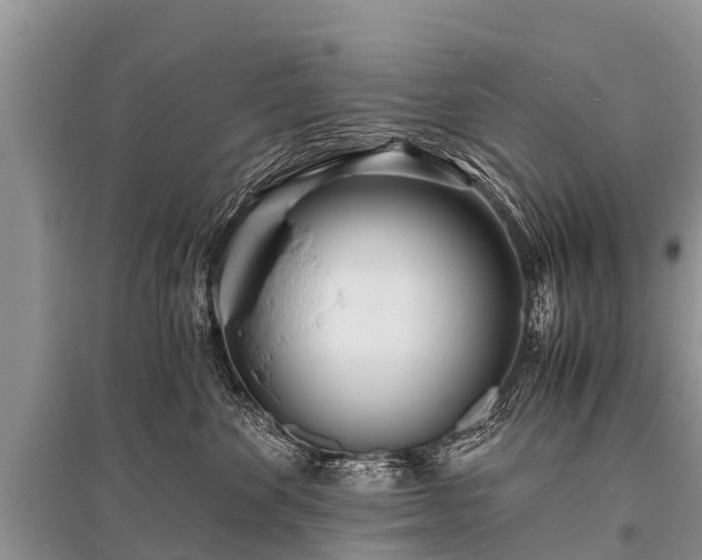 X0000096140524200801251044