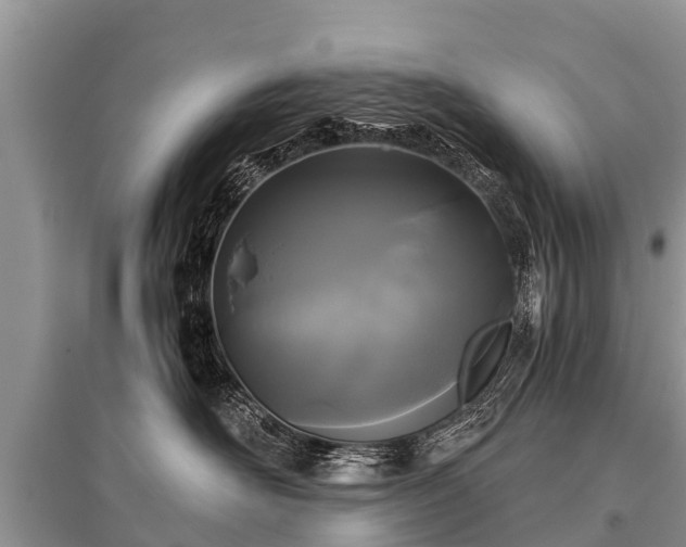 X0000096140526200801251044